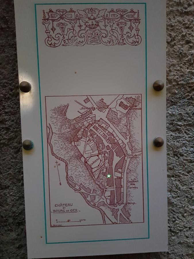 Hebergeneve : Aux Pieds Du Chateau Gex Exterior photo